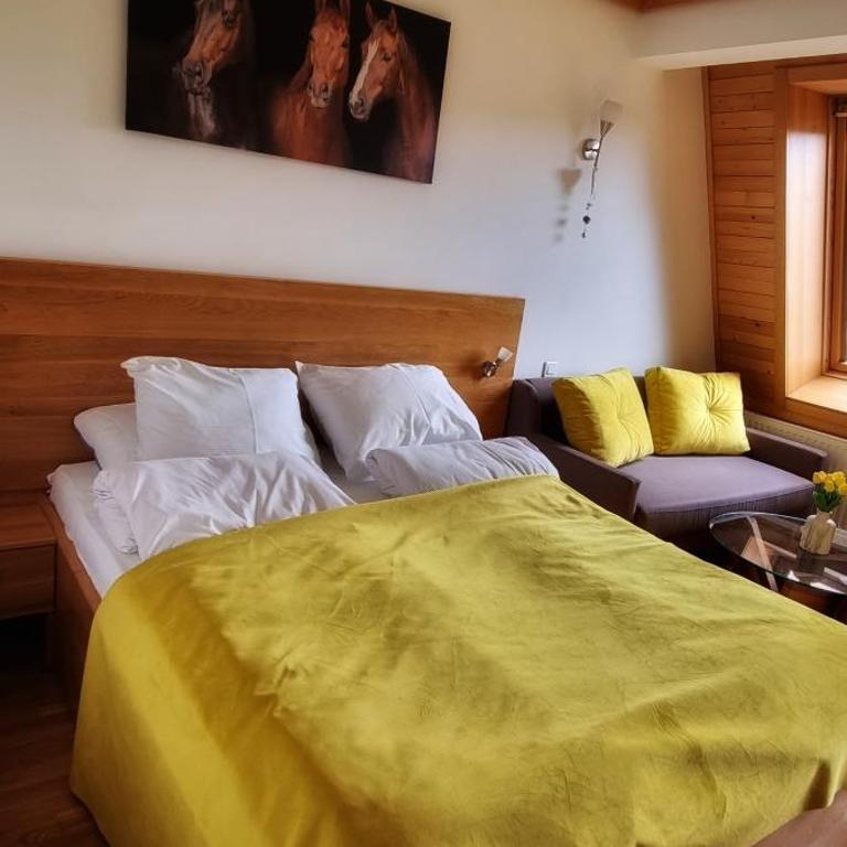 Planinska kuća II - One-Bedroom Apartment - 6