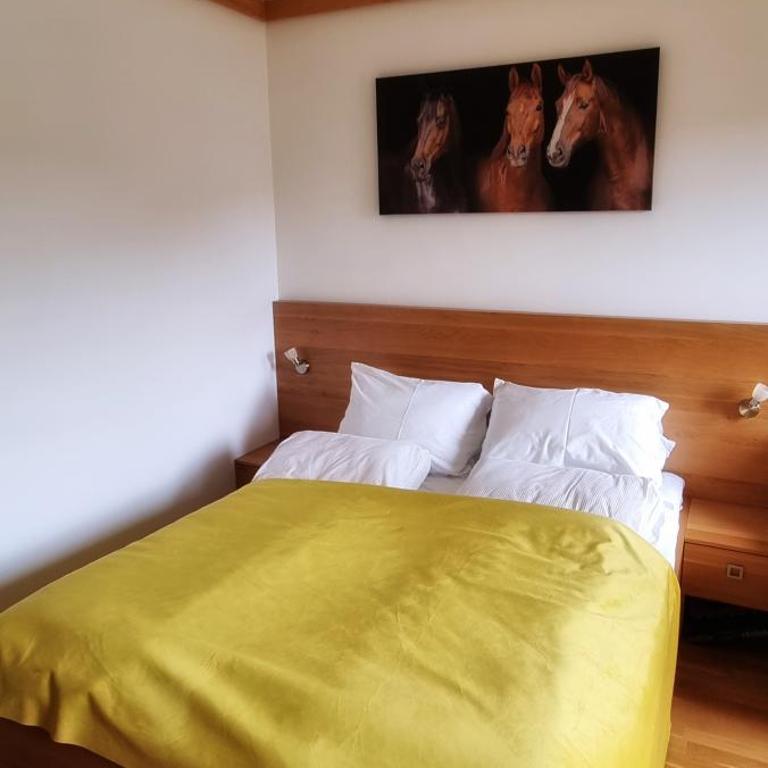 Planinska kuća II - One-Bedroom Apartment - 9