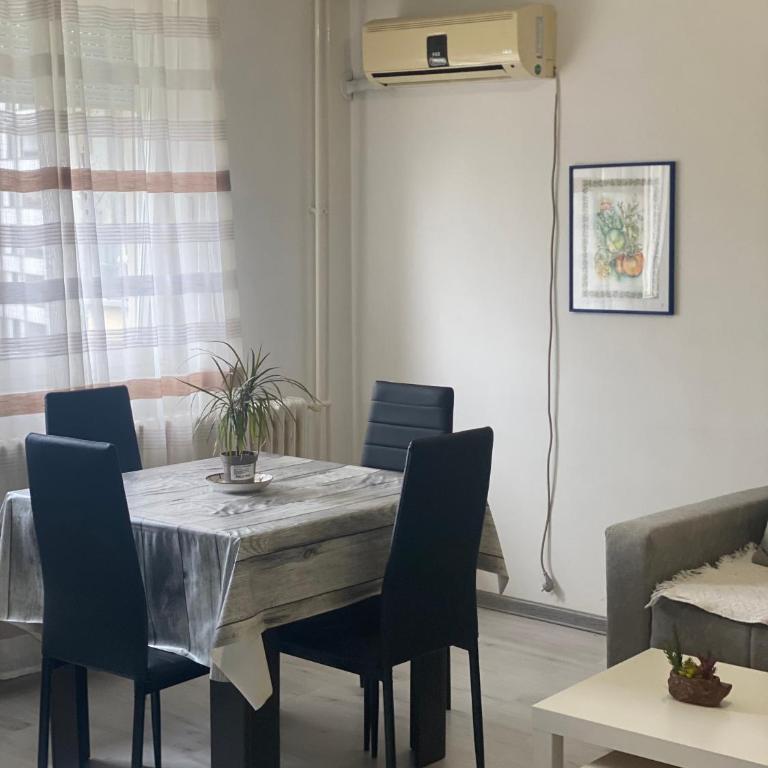 Pap Center Loft, garazno mesto - Apartman sa 1 Spavaćom Sobom - 10