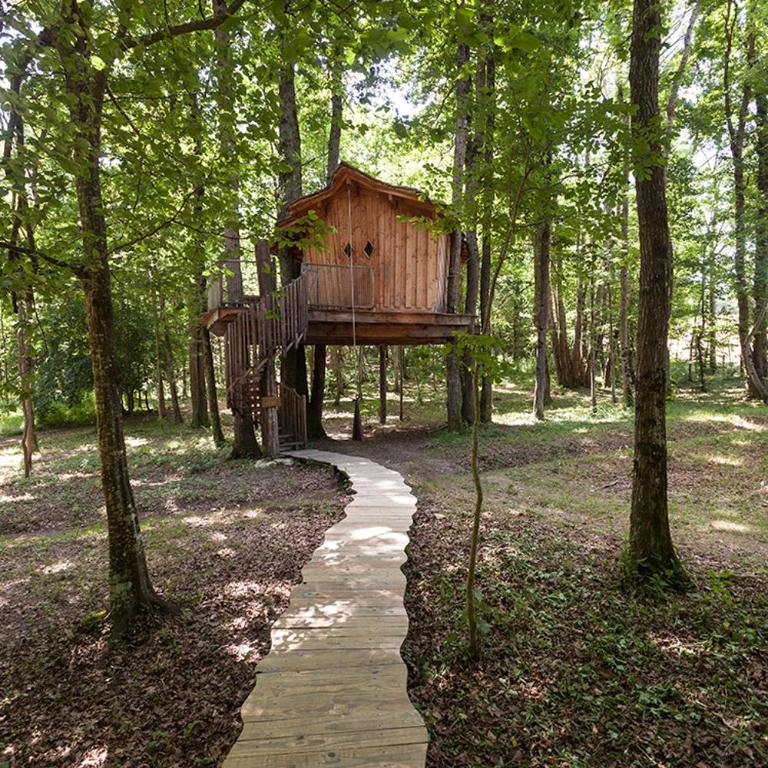Les Cabanes de Fontfroide - Chalet 2 Chambres - 5