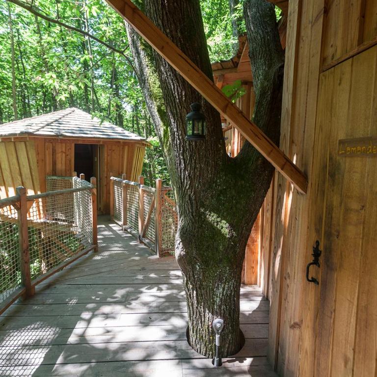 Les Cabanes de Fontfroide - Chalet 2 Chambres - 11