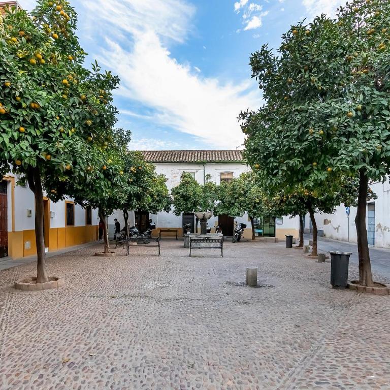 BHost - Yayo Pepe - Apartamento de 1 dormitorio - 23