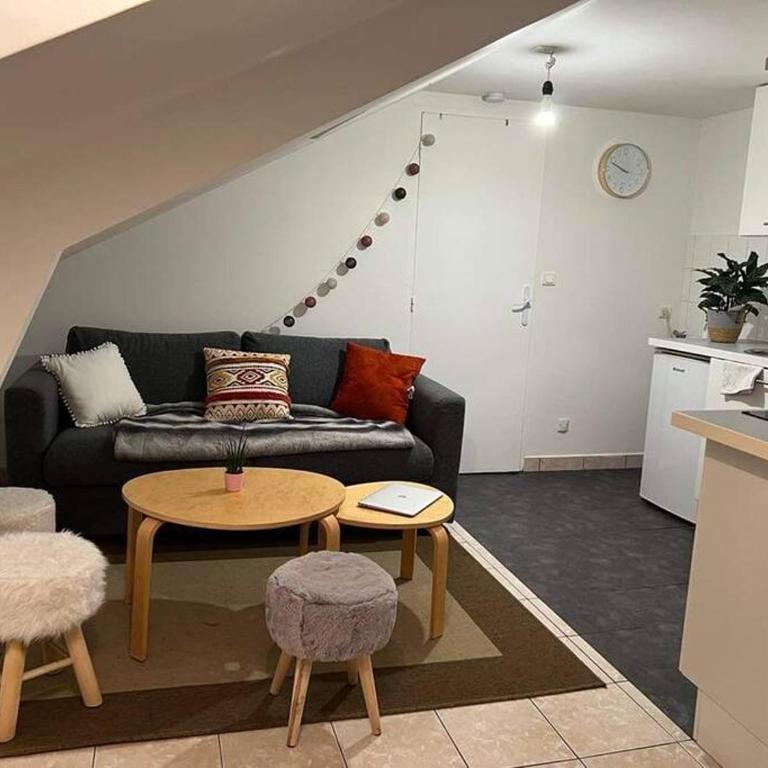 Nantes : T1 bis hyper centre (commerce) très calme - Appartamento con 1 Camera da Letto - 4