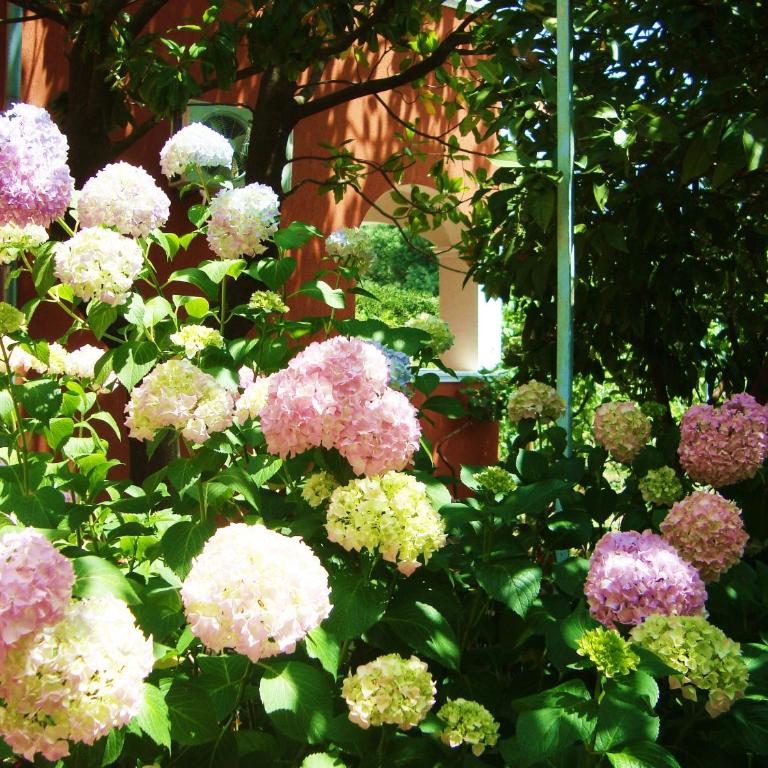 Apartments Rolovina - Studio Apartment - 10