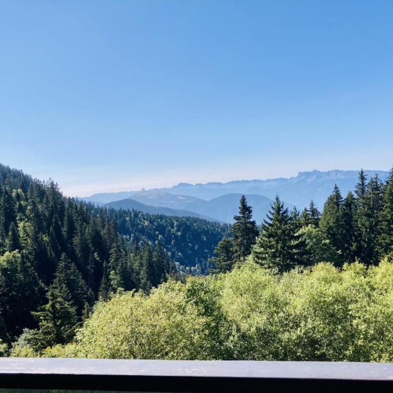 Studio NATHEN - Parking - Wifi - Balcon Sud ouest - Chamrousse 1650 - Monolocale con Vista Montagna - 17