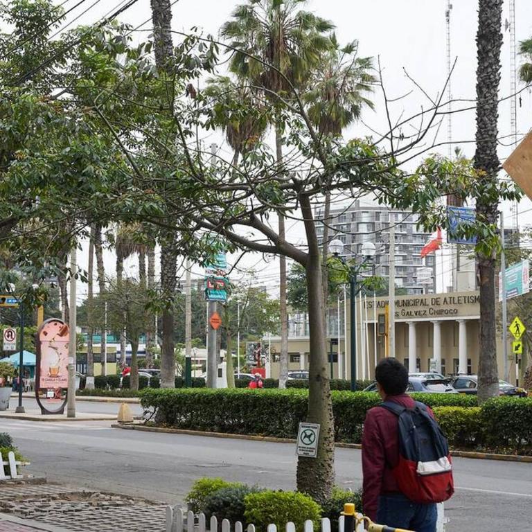 Beautiful cozy Apt Barranco / Miraflores Peru - Apartamento de 1 dormitorio - 30