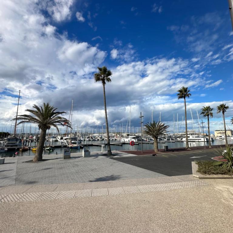 MAGNIFIQUE VUE MER F2 45 m2 climatisé avec balcon - Apartamento de 1 dormitorio - 36