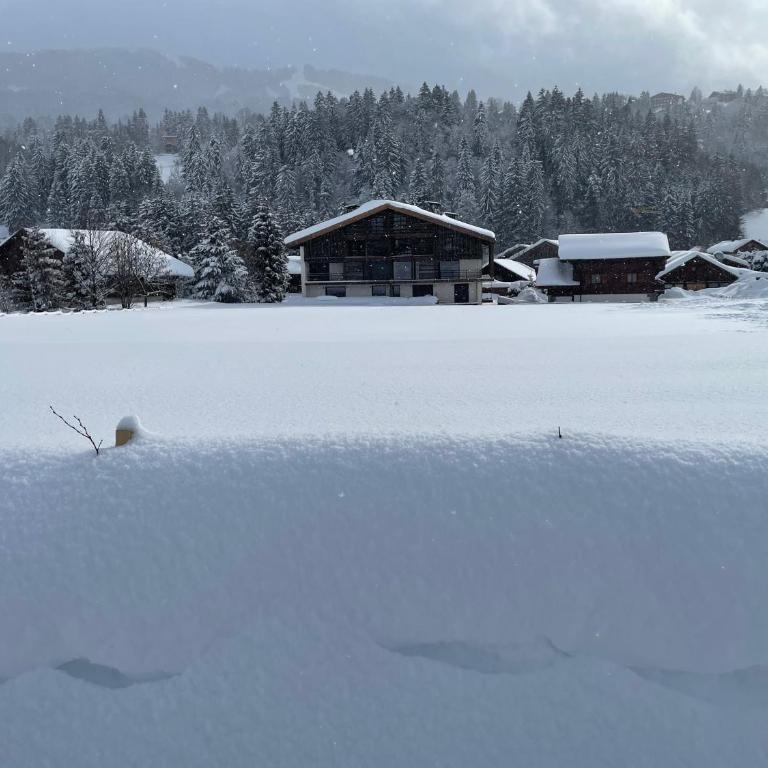 Chalet Esquinade 4 bedrooms appartment Megève - Appartement - 43