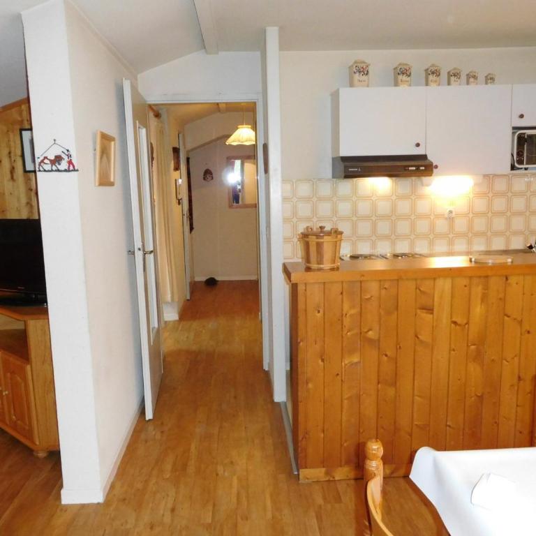 Bel appartement rénové à Chamonix avec vue sur le Mont-Blanc, parking et animaux admis - FR-1-517-51 - Studio - 4