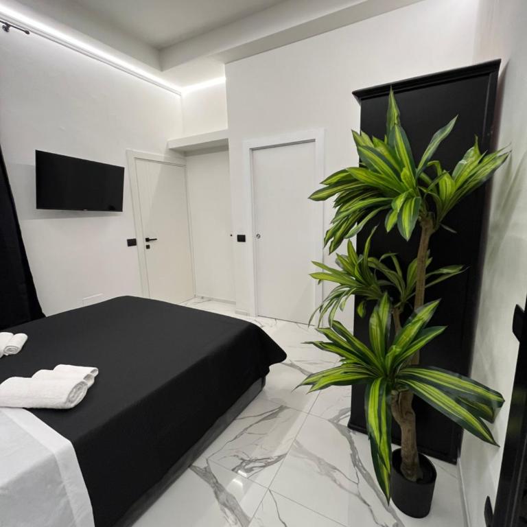 Suites - ghibellina 92 - Appartamento Superior - 10