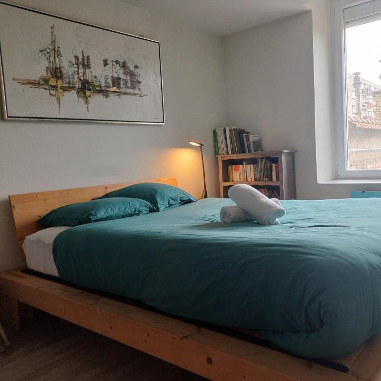 Le grenier à sel, Chaleureux 2 Chambres-Centre-Gare - Appartamento con 2 Camere da Letto - 4