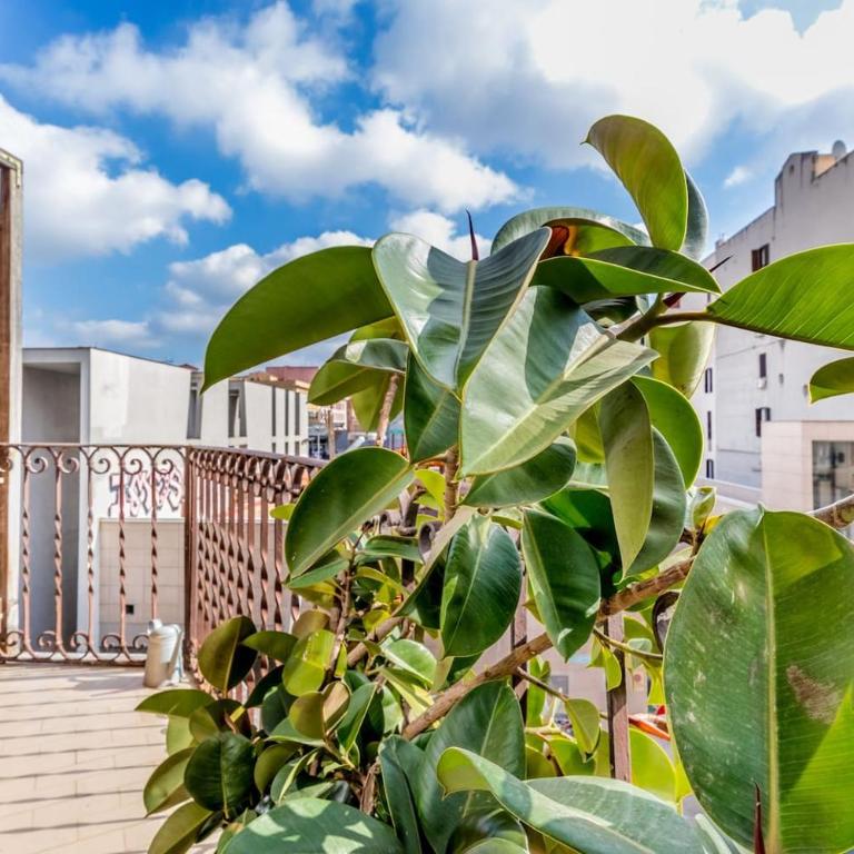 Casa Caracciolo Roma Vaticano - Two-Bedroom Apartment - 16