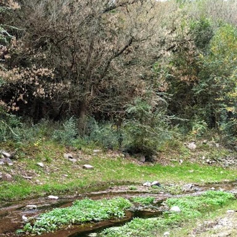 Infinito Grupo Cabaña La Triada - Apartamento de 1 dormitorio - 29