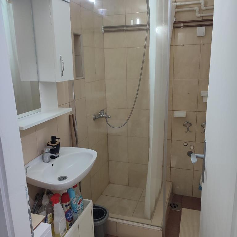 Apartman Jevtic Zlatibor - Apartman sa Pogledom na Bazen - 16