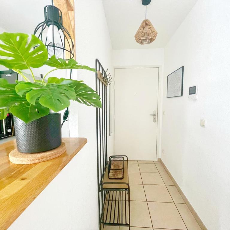 Joli T2 climatisé proche centre avec parking privé et loggia - Sète - FR-1-338-544 - Apartment - 6