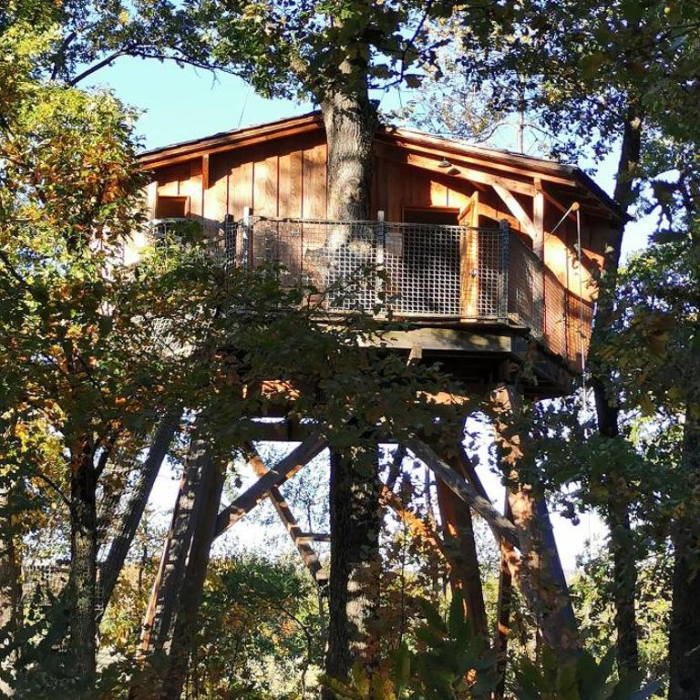 Les Cabanes de Fontfroide - Chalet 1 Chambre - 3