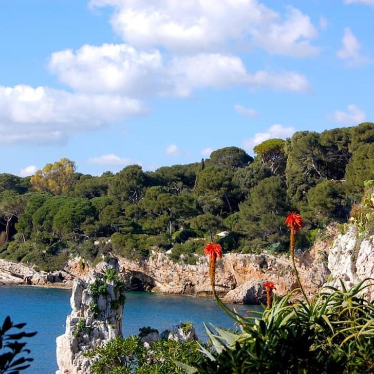 Antibes Vieille Ville - Studio Centre Historique & Plage - Appartamento con 1 Camera da Letto - 30