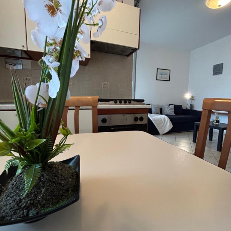 San Martino-Flexrent Immobiliare Abissinia - Appartamento con 1 Camera da Letto - 16