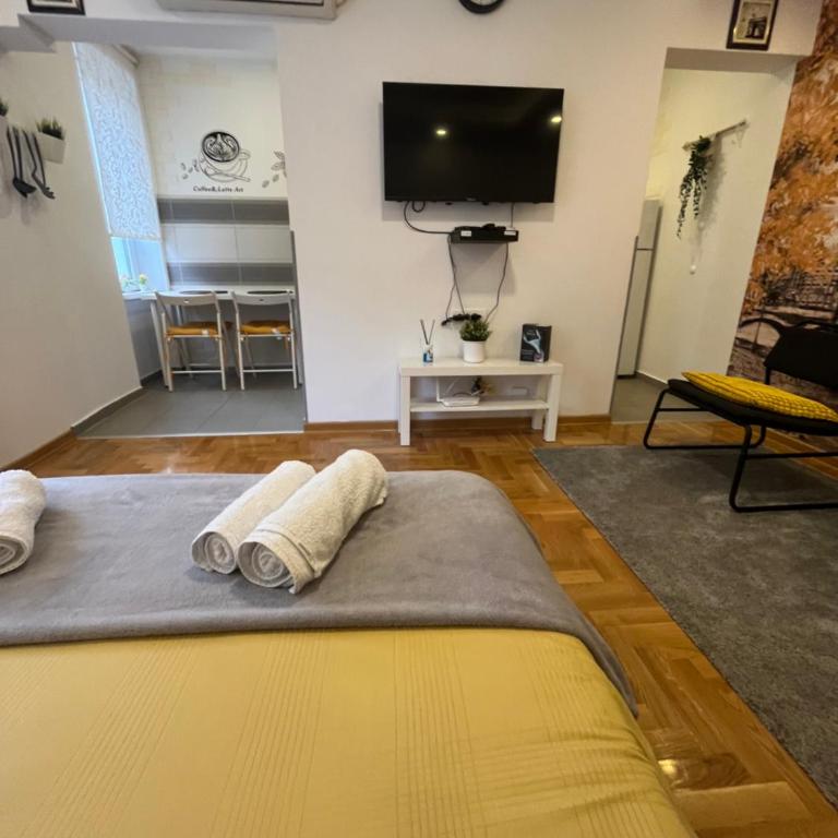 Tesla View Apartment - Apartman sa 1 Spavaćom Sobom - 8