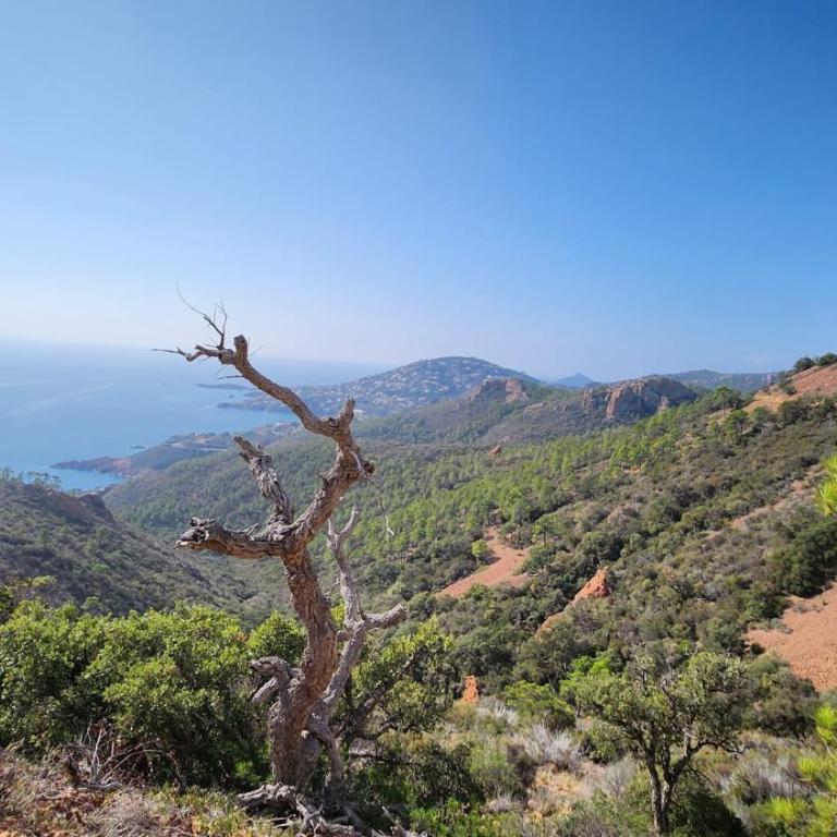 Saint-Raphael- Vue mer et Massif de l'Esterel - Appartamento con 1 Camera da Letto - 48