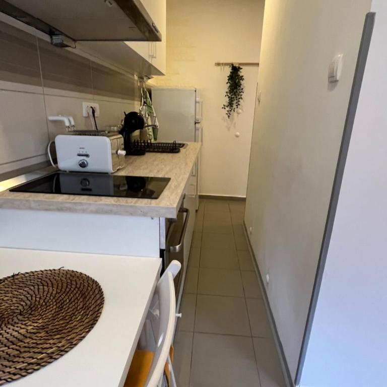 Tesla View Apartment - Apartman sa 1 Spavaćom Sobom - 23