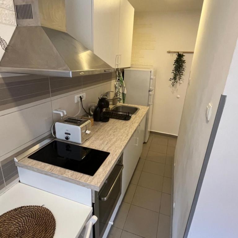 Tesla View Apartment - Apartman sa 1 Spavaćom Sobom - 22