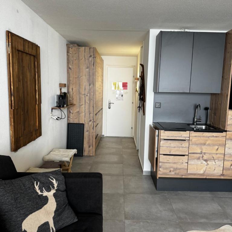 Superbe studio Anzère, rénové, au pied des pistes - Apartment mit 1 Schlafzimmer - 3