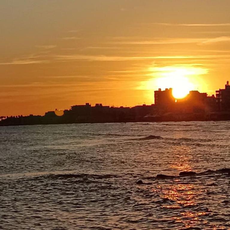 Al lado de Barcos y Gran Playa. - Apartamento de 1 dormitorio - 26