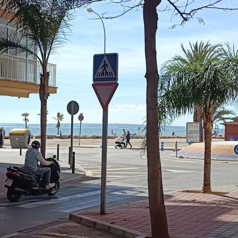 Al lado de Barcos y Gran Playa. - Apartamento de 1 dormitorio - 22