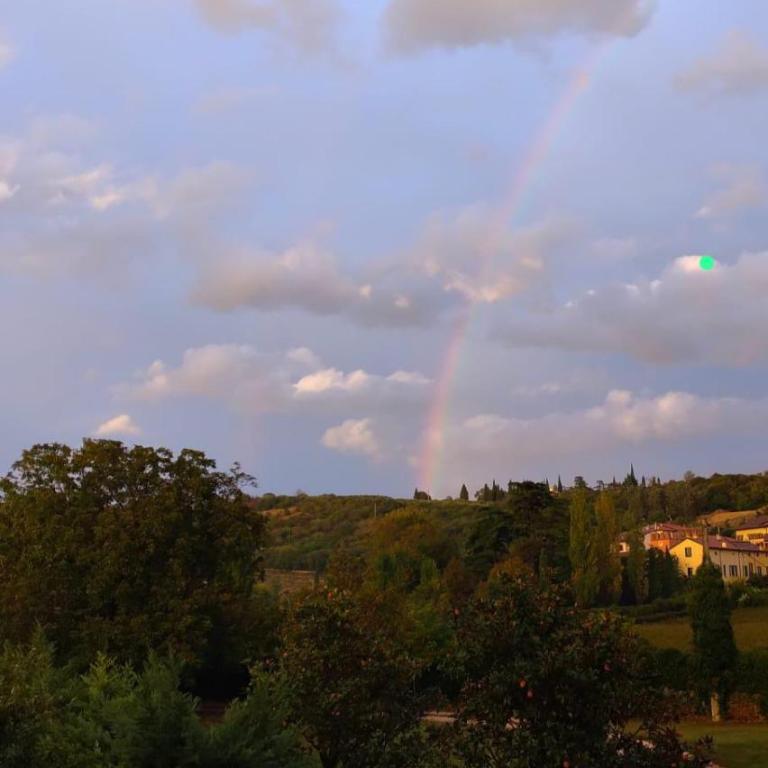 Agriturismo Ponte Florio - Camera Singola Ampia - 5