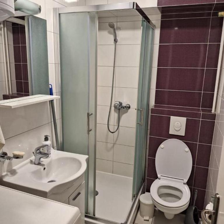 centar apartment - Apartman sa 2 Spavaće Sobe - 8