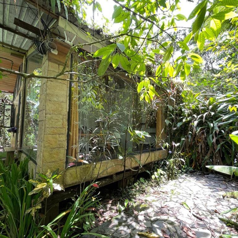 CantalaRana Lodge - Budget Double Room - 6