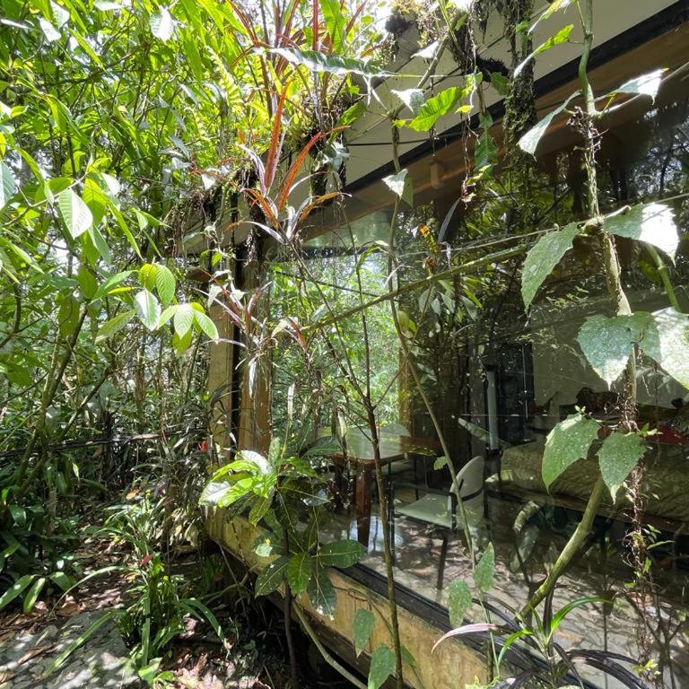 CantalaRana Lodge - Budget Double Room - 7