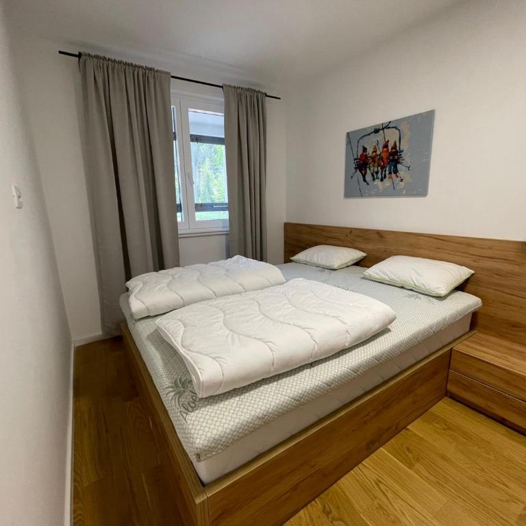 V5 Apartments - Two-Bedroom Apartment - 4