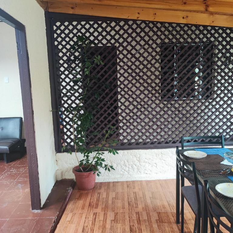 Hostal Fernanda - Family Room - 1