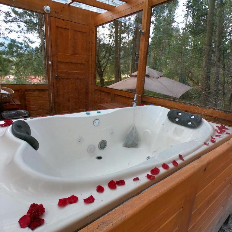 Libélula Glamping con jacuzzi - Tent with Jacuzzi - 7