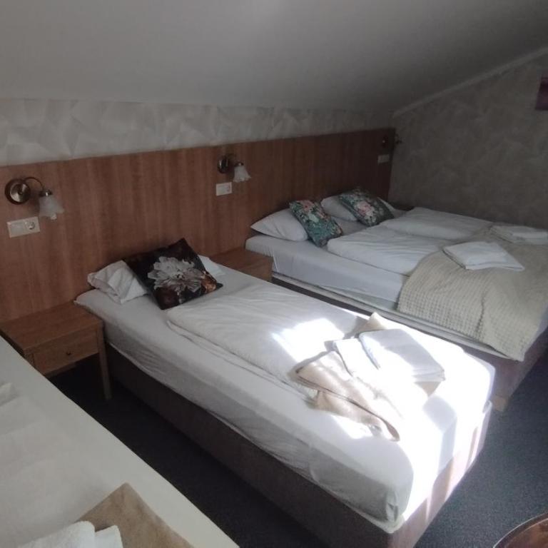 Jasmin Pension Central Location Shared Kitchen Pet Friendly - Vierbettzimmer mit eigenem Bad - 8