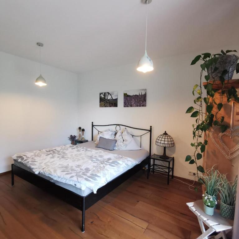 Steinberg Blick - Three-Bedroom Apartment - 20