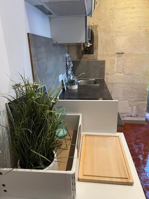 Appartement en cœur de ville Place du Forum - One-Bedroom Apartment - 56