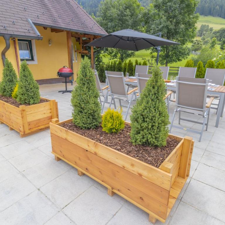 Lungauer Baerensuiten - Apartment mit Blick auf die Berge - 9