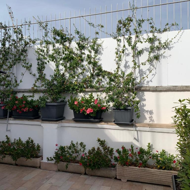 Tristar Terrace Penthouse - Appartamento con 2 Camere da Letto - 2