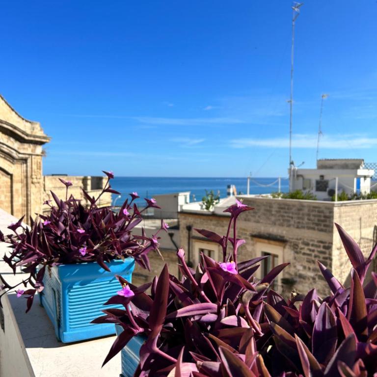 Santa Scolastica Home - One-Bedroom Apartment - 3