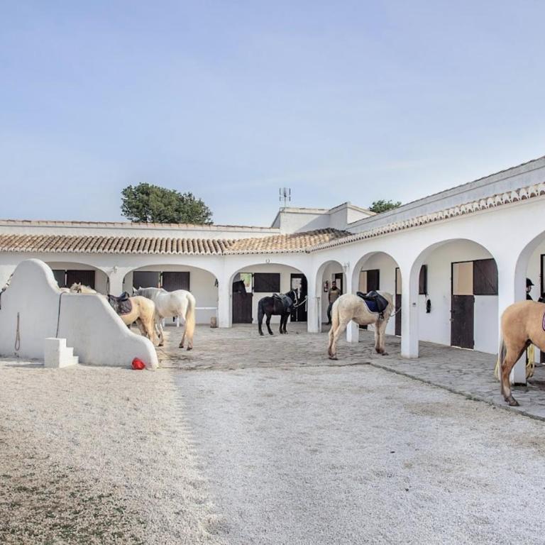 Villas Moraig - Apartamento de 2 dormitorios - 30