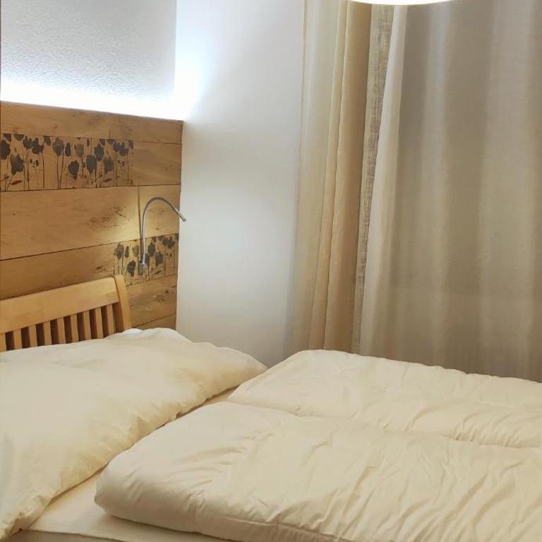 Alpenappartements Domicil include JOKER CARD - Apartamento con vistas a las montañas - 7