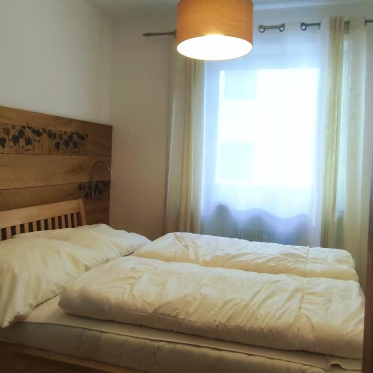Alpenappartements Domicil include JOKER CARD - Apartamento con vistas a las montañas - 8