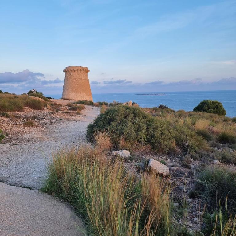 Apartment Santa Pola - 2 bedrooms - Playa Lisa Tamarit - AirCo - Parking - Apartamento de 2 dormitorios - 44