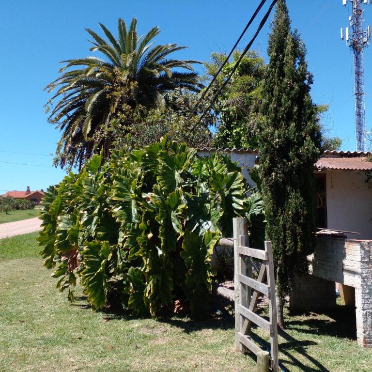 Lo de Fabi - One-Bedroom House - 21