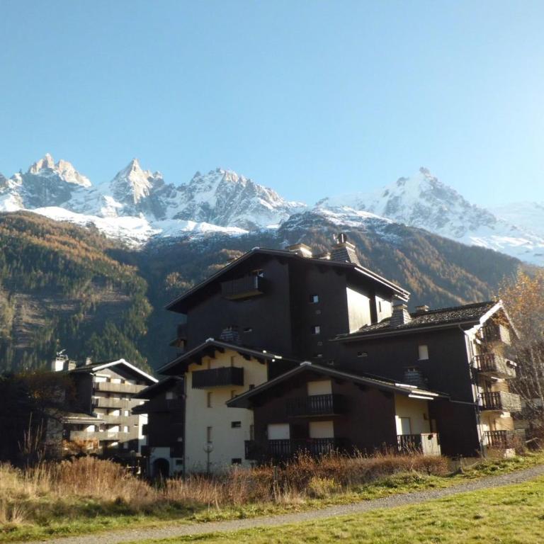 Studio lumineux proche des pistes, animaux admis - FR-1-517-32 - Studio - 3