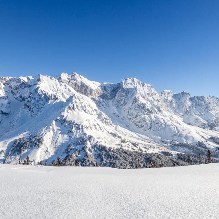 Malejo - HochkönigCard - Pool - Ski-in & Ski-out - Apartment mit 2 Schlafzimmern - 40