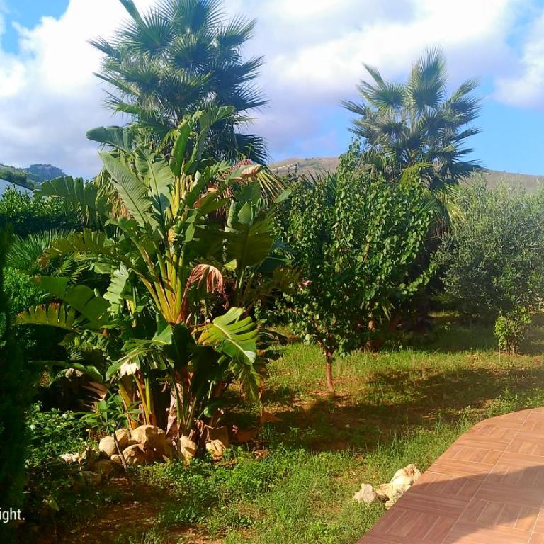 ViViHolidays - Villa con 2 Camere da Letto - 9